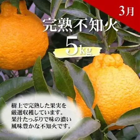 【発送月固定定期便】どの坂果樹園自慢の柑橘定期便(ゆら早生・完熟みかん・不知火)　各約5kg全3回【配送不可地域：離島・北海道・沖縄県】【4052457】