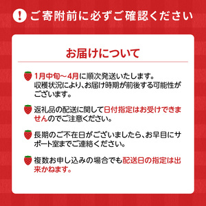 【2027年1月から順次発送】福岡県産 羽衣農園の完熟あまおう 約1kg（約250g×4パック） _ 福岡県産 完熟 あまおう 約250g × 4パック 計 約1kg こだわり いちご 福岡県 ブランド いちご 家族 シェア フルーツ 果物 果実 パンケーキ フルーツサンド お取り寄せフルーツ 福岡県 久留米市 送料無料 〔Fi214〕