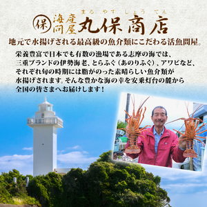【期間限定】志摩市産天然アワビ（赤） 1kg 冷蔵 新鮮