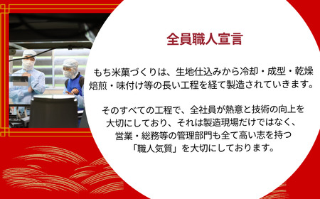 【海老の風味豊かなあられ】えびかきもち 6袋セット 焼きえびの香り 米菓 竹内製菓 /えび エビ 海老 おかき 米菓 お煎餅 せんべい