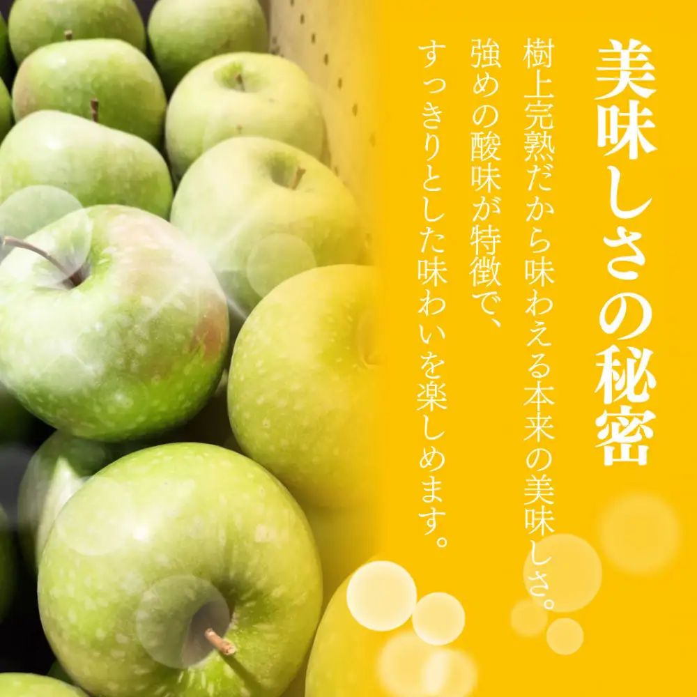 【10月下旬発送 先行予約】樹上熟成　グラニースミス 3kg | りんご グラニースミス 青りんご 加工用