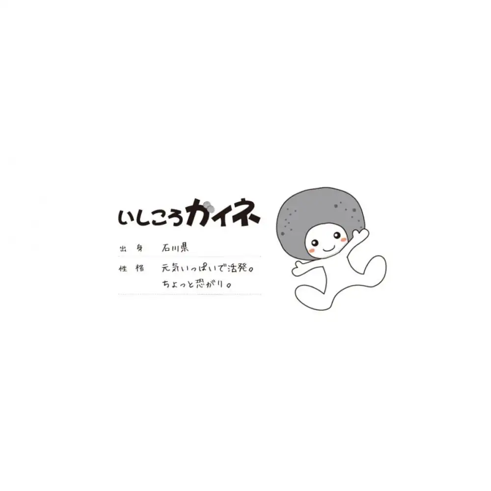 絵本「いしころガイネとおおのからくりきねんかん」お手元に１冊+地元の子どもたちに寄付2冊
