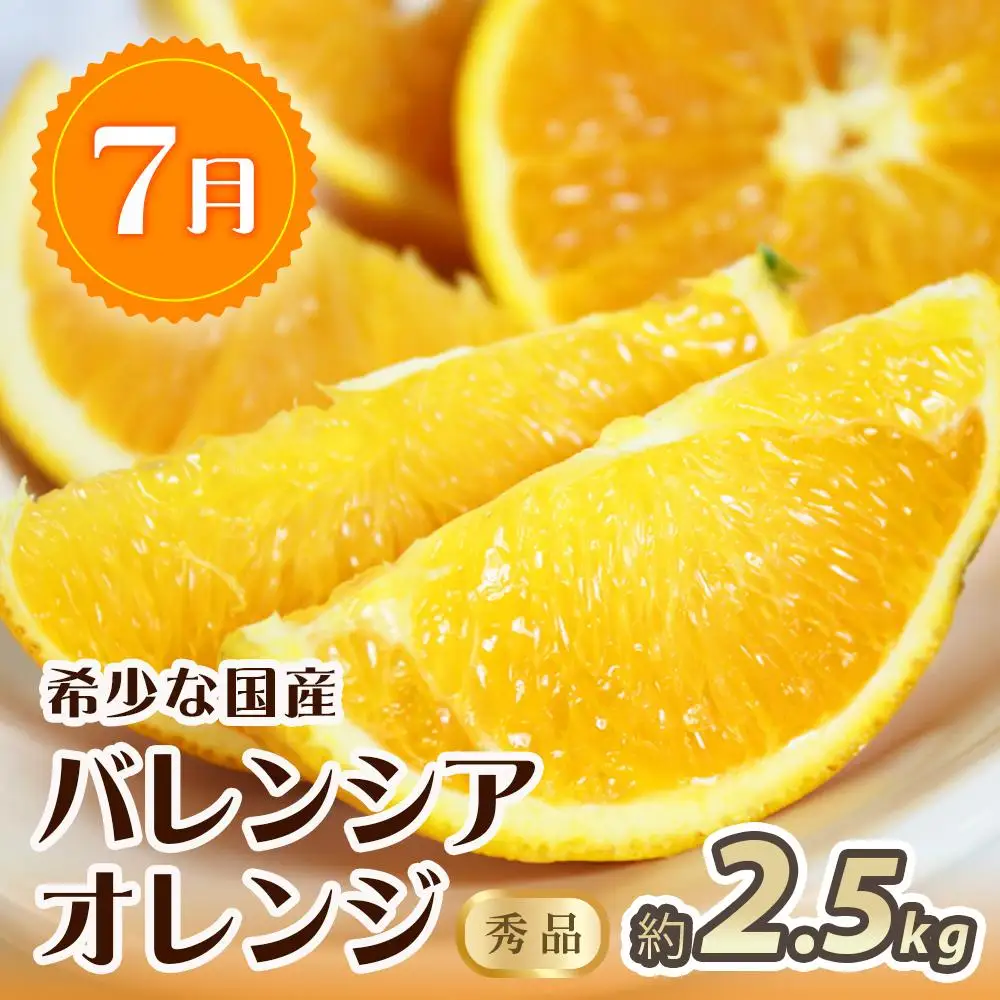 【1・4・7月 全3回】紀州和歌山産旬のフルーツセット（みかん・なつみ・バレンシア）【UT82】