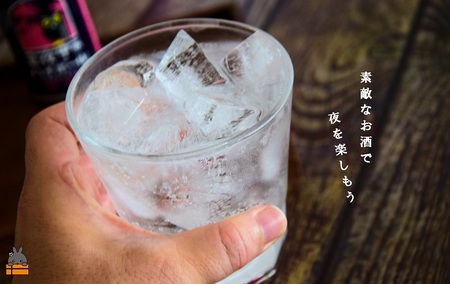 黒糖焼酎×炭酸！真夜中のハイボール（350ml×6本） ( 黒糖焼酎 お酒 酒 焼酎 炭酸割り ハイボール 炭酸 徳之島 奄美 鹿児島 アルコール5% 晩酌 タートルベイ醸造 )