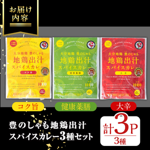 大分地鶏豊のしゃも地鶏出汁スパイスカレー3種セット(合計540g・180g×3パック)レトルト 簡単調理 ご当地カレー【112400202】【天峯ファーム】