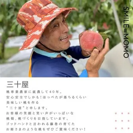 「2026年発送」三十屋木熟桃 【1.5kg】【配送不可地域：離島】【1515509】