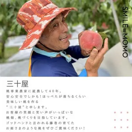 「2026年発送」三十屋木熟桃 【3kg】【配送不可地域：離島】【1515554】
