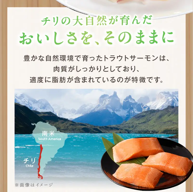 【期間限定】お刺身用 サーモン 1kg ブロック 小分け 約250g×4P ポーション 柵 訳あり サイズ不揃い