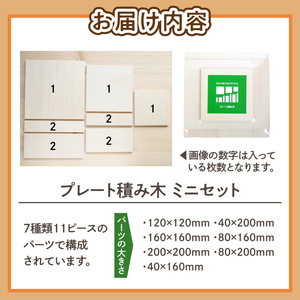 遊びの世界が広がる積み木！プレート積み木ミニセット [h007]