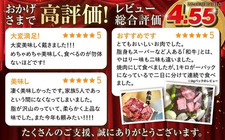 訳あり 飛騨牛 焼肉用 500g 訳あり [S811]