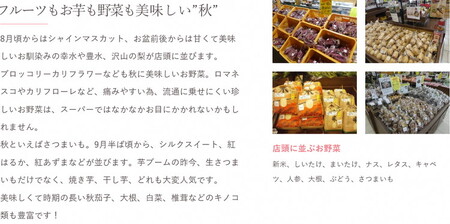 【定期便３か月】道の駅まくらがの里古河　季節の新鮮野菜おまかせBセット  ※北海道・沖縄・離島への配送不可 _BQ06