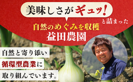 【なら育ち 益田農園】玉ねぎ約 5kg サイズ混合｜ヤサイ 野菜 ベジタブル 玉ねぎ オニオン 奈良県 五條市