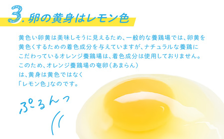奄卵 （ あまらん ）～ 平飼い 有精卵 30個 A115-007 卵 たまご 養鶏 鶏 奄美ファーム ふるさと納税 奄美市 おすすめ ランキング プレゼント ギフト