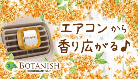 ボタニッシュエア2個パック キンモクセイ 晴香堂 HARUKADO