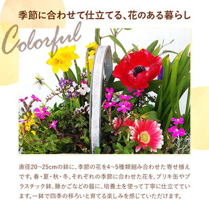 フォーシーズン お花の寄せ植え 直径20～25cm Fleurbranch 《90日以内に出荷予定(土日祝除く)》熊本県 菊池市 花 鉢花 鉢植え 観葉植物 植物 インテリア ガーデン 雑貨