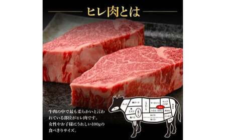 土佐和牛特選ヒレステーキ100g×2枚セット 