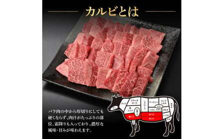 土佐和牛上カルビ焼肉450g 