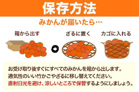 みかん 温州みかん 約 10kg 熊本県 荒尾市産含む 《11月上旬-12月上旬頃出荷》送料無料 熊本県 荒尾市 フレッシュフーズ 柑橘 フルーツ ミカン 蜜柑 果物 美味しいみかん 旬のみかん ジューシーみかん フルーツみかん