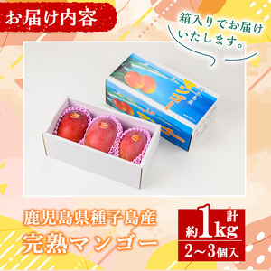 n257 ＜先行予約＞ マンゴー 1kg・2～3個入 鹿児島県 種子島産 完熟 果物 フルーツ 箱入り 冷蔵 【種子屋久農業協同組合】