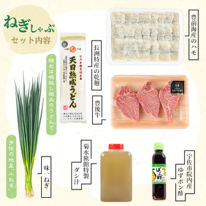 ねぎしゃぶ(鱧はも)＋ヒレステーキセット(6品)ねぎしゃぶ しゃぶしゃぶ 鱧 はも 鍋 お鍋 和牛 ヒレステーキ セット【101500601】【菊水旅館】
