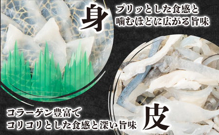 とらふぐ 鶴盛 雄飛 ふぐ 刺身 刺身  FG042