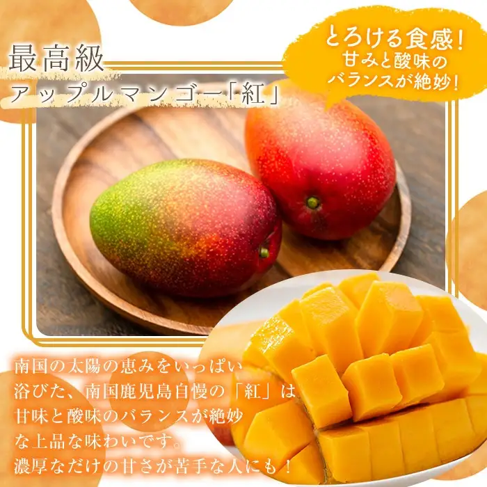 ＜先行予約受付中・2026年6月下旬～7月下旬頃に発送予定＞＜数量限定＞完熟アップルマンゴー「紅」(約600g) マンゴー 果物 フルーツ【大徳産業】A495-v02