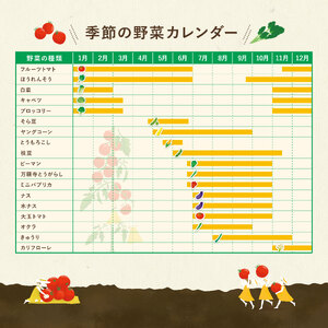 定期便 季節 野菜 詰め合わせ 1kg 3ヶ月 連続お届け 果物 産地直送 朝どれ 詰め合わせ とれたて 濃厚 ごほうびとまと 風の子ファーム ﾌﾙｰﾂﾄﾏﾄ ほうれんそう 白菜 ｷｬﾍﾞﾂ ﾌﾞﾛｯｺﾘｰ そら豆 ﾔﾝｸﾞｺｰﾝ とうもろこし ﾔﾝｸﾞｺｰﾝ 唐辛子 ﾊﾟﾌﾟﾘｶ 水 ﾅｽ ｵｸﾗ ｷｭｳﾘ ｶﾘﾌﾛｰﾚ 埼玉県 羽生市