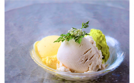（冷凍） ベジタブル ジェラート 12個入り ／ 葛城山麓農園 アイス フルーツ 野菜 大和いも 抹茶 特産品 奈良県 御所市