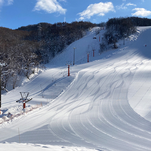 北海道仁木町 寄附のみの応援受付 500,000円コース（返礼品なし 寄附のみ50万円） 寄付 支援 応援 北海道 仁木町 [仁木町役場]