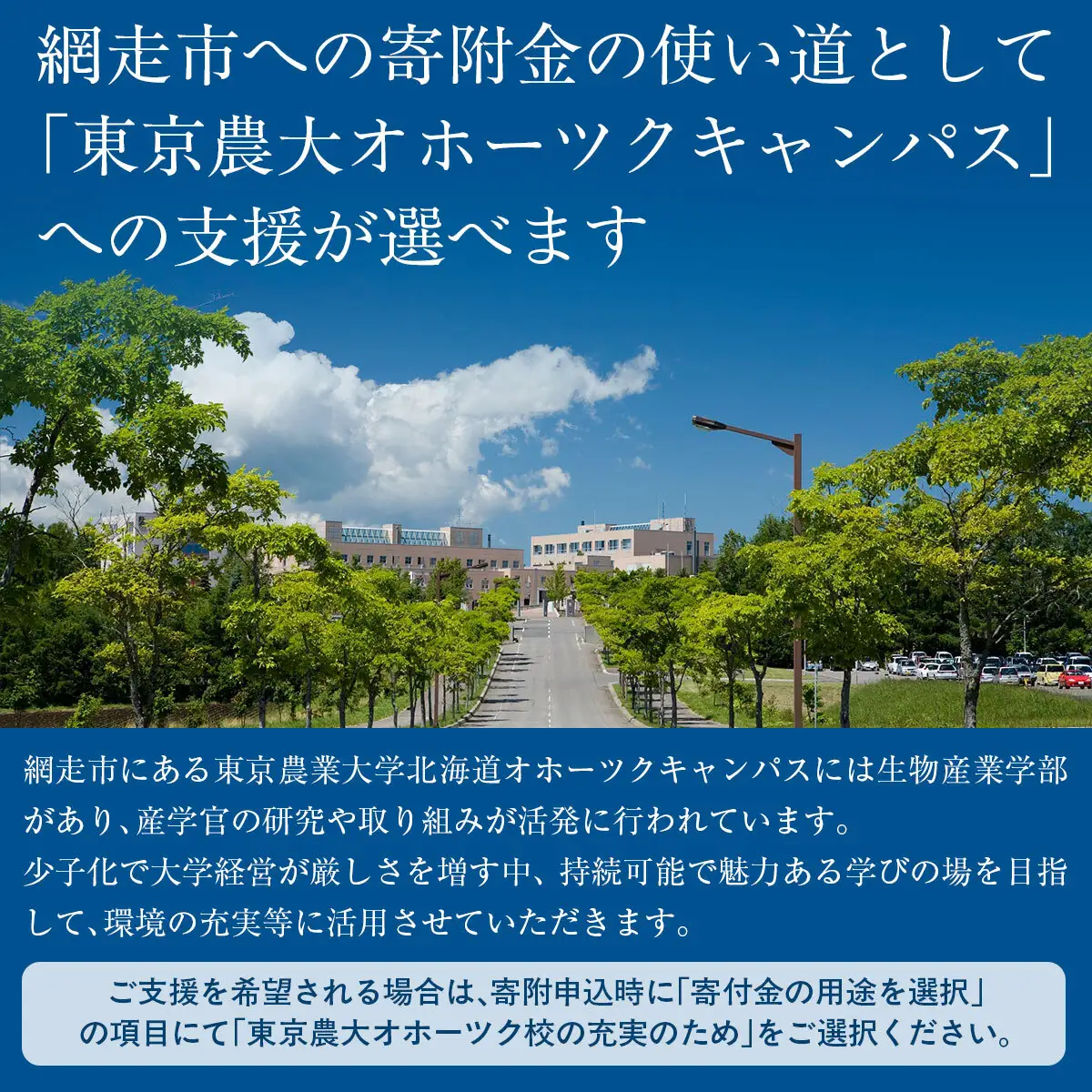 東京農業大学オホーツクキャンパス授業料等240,000円分クーポン券 ABBD008