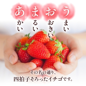 いちご 福岡県産 あまおう 1000g (250g×4パック) 先行予約 2027年1月より順次発送 果物 デザート ※配送不可：離島