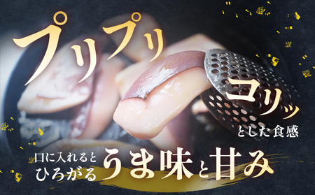 【訳あり】 氷見産 アオリイカの耳（エンペラ） 1kg 〈冷凍〉　イカ