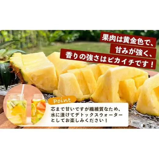  完熟の極 てとの黄金パイン大玉約4kg　TF-25_R8