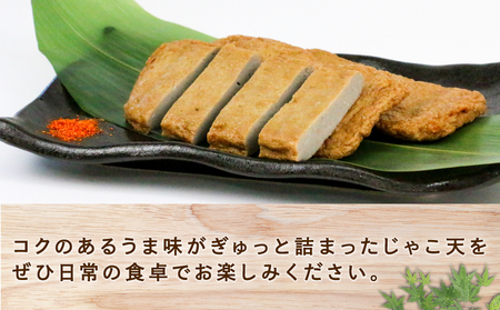練り物 手押しじゃこ天 14枚 大山かまぼこ店 練り物 C010-007003