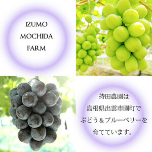 【2026年8月中旬以降発送】[農家直送]厳選ブラックビート2kg箱（3～5房）[持田農園]