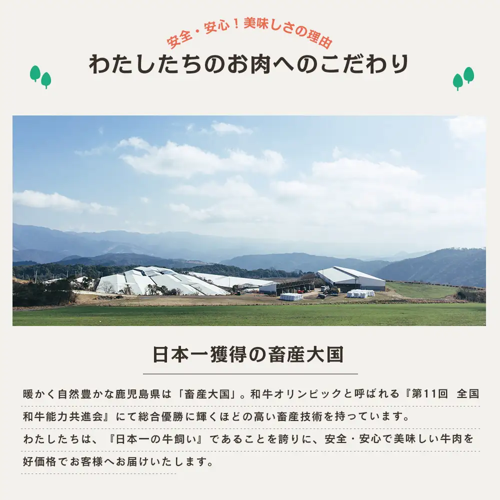 【鹿児島県産】A5等級黒毛和牛 カルビ焼肉 計600g（200g×3P） 国産牛 牛肉 国産 焼き肉 カミチク BBQ バーベキュー アウトドア バラ 丼 プレート 小分けパック 冷凍