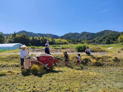 自然栽培米の米粉 1kg