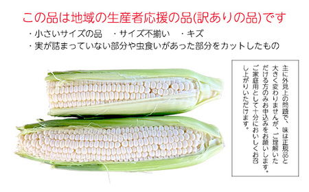 ≪2026年先行予約≫【お天道農園】ご家庭用 山形県産 とうもろこし ホワイトコーン ピュアホワイト 3kg 2026年7月下旬から順次発送 F2Y-6974