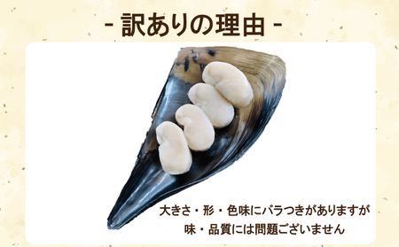 訳あり 平貝 4個入り (240~280g) 3パック 冷凍 海鮮 海産物 魚介 ごはん おかず おつまみ 愛知県 平貝 タイラギ