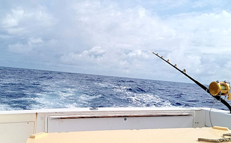 貸切トローリング！「大物釣り体験」1～6名様ご利用券