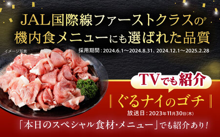 諫美豚ハンバーグ 14個(各150g) 計2.1kg / 豚肉 ハンバーグ はんばーぐ おかず 惣菜 冷凍 / 諫早市 / 土井農場 [AHAD052]