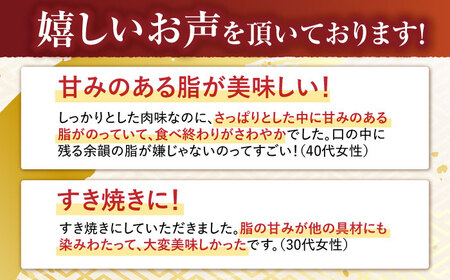 【12回定期便】ロース スライス 400g / 長崎和牛 A5ランク しゃぶしゃぶ すき焼き / 諫早市 / 野中精肉店 [AHCW044]