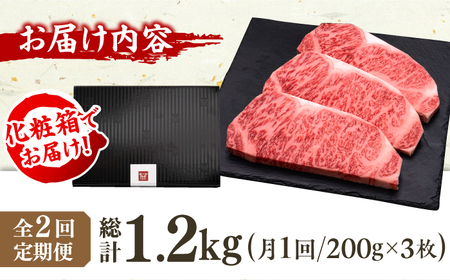 【2回定期便】サーロイン ステーキ 200g×3枚 / サーロイン [AFBV008]