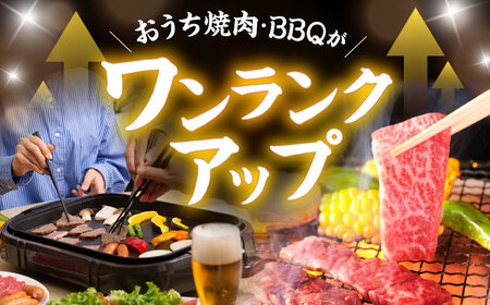 【6回定期便】【焼き肉満喫セット】モモ 上カルビ 総計900g / 焼肉 牛肉 長崎和牛 A5ランク / 諫早市 / 野中精肉店 [AHCW077]