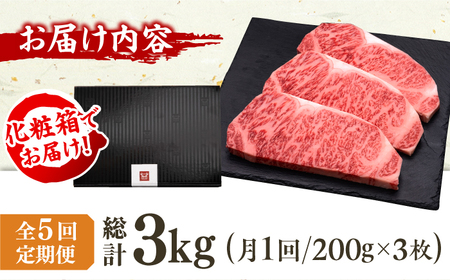 【5回定期便】サーロイン ステーキ 200g×3枚 / サーロイン [AFBV010]