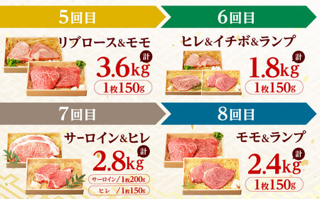 【12回定期便】長崎和牛 A5 ステーキ極旨コース 総計23.4kg / モモ リブロース イチボ サーロイン ランプ ヒレ レモンステーキ / 肉 牛肉 ステーキ 焼肉 / 諫早市 / 野中精肉店 [AHCW087]