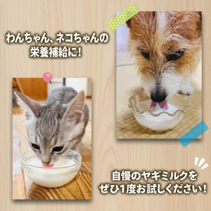 ヤギミルク ペット用 7本 山羊 国産 乳 犬 猫 ヤギ ミルク