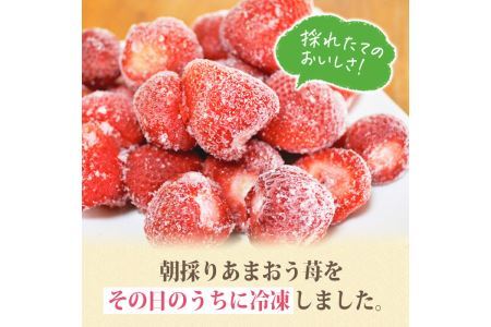 冷凍 あまおう(計2kg・1kg×2袋) スピード発送 いちご イチゴ 苺 あまおう 冷凍いちご 冷凍イチゴ 国産 福岡県 果物 フルーツ アイス 冷凍フルーツ ＜離島配送不可＞【ksg0438】【うるう農園】