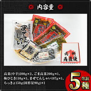 贅沢つけものセット(5種・合計約1kg) 高菜 辛子高菜 らっきょう らっきょ 梅ひじき つくだ煮 まぜてんしゃい 漬物 ご飯 チャーハン ラーメン おにぎり お茶漬け 【ksg0154】【樽味屋】