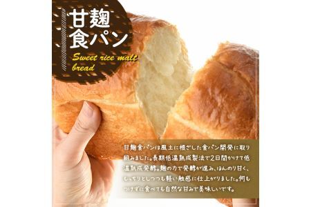 キッシュ・甘糀食パンのセット(14cm×2台＋2斤) パン 食パン 手作り こうじ パイ おつまみ ワイン ベーコン チーズ 冷凍 小分け 個包装＜離島配送不可＞【ksg0094】【そうりの食卓】